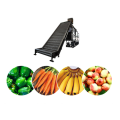 Máquinas de proceso de frutas y verduras.